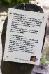 Vika pasaku parkā Dikļos apskatāmas rakstnieka pasaku varoņu koka figūras 8
