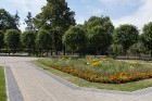 Ziedoņdārzs ir izveidots pēc Z. Zeidaka projekta, kas devis arī parkam nosaukumu. Sākotnēji parkā bija arī estrāde, kas veidota kā gliemežnīca. Tā nod 1