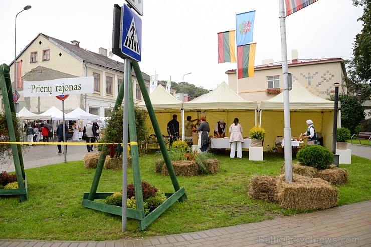 Talsos ar plašu vērienu atzīmēja Talsu draugu dienas Prieņu zīmē un rīkoja tradicionālo Dižmāras gadatirgu ar devīzi 
