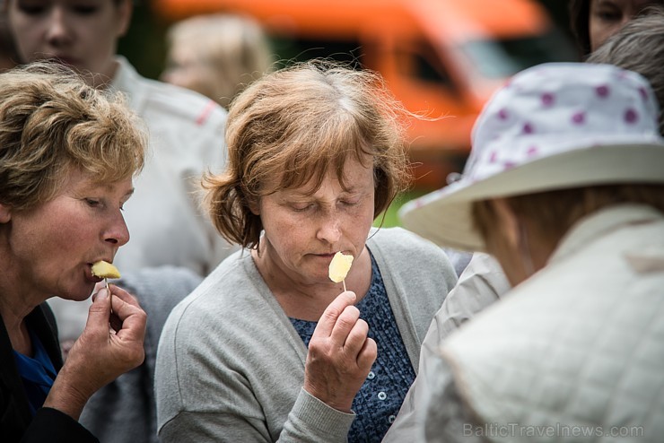 Ar Latgales keramiķu, klūgu un skalu grozu pinēju, kalēju, kokamatnieku, tautas dejotāju un amatierteātra piedalīšanos Jasmuižā tika svinēti Latgales Ar Latgales keramiķu, klūgu un skalu grozu pinēju, kalēju, kokamatnieku, tautas dejotāju un amatierteātra piedalīšanos Jasmuižā tika svinēti Latgales 181977