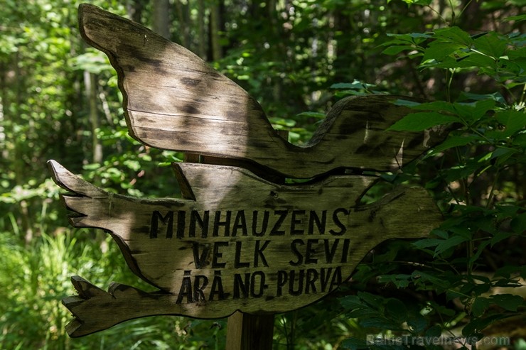 Minhauzena meža taka ir garākā apses koka taka Eiropā 182266