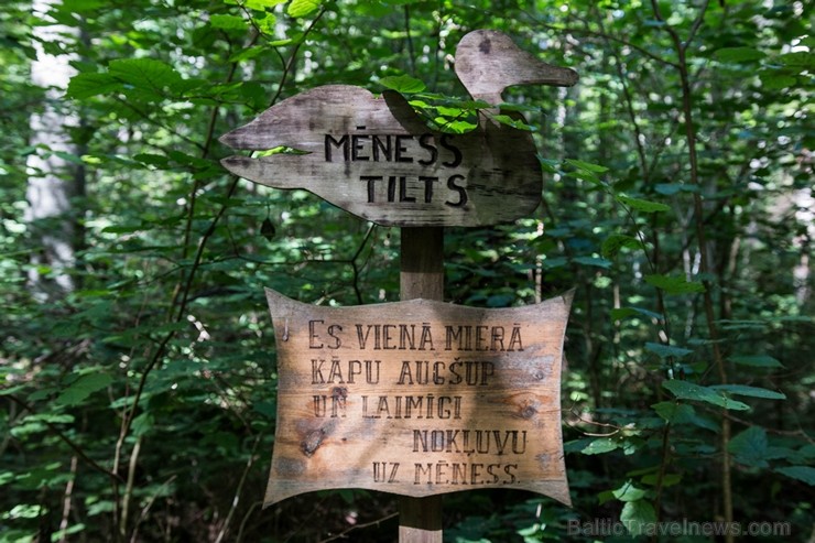 Minhauzena meža taka ir garākā apses koka taka Eiropā 182279