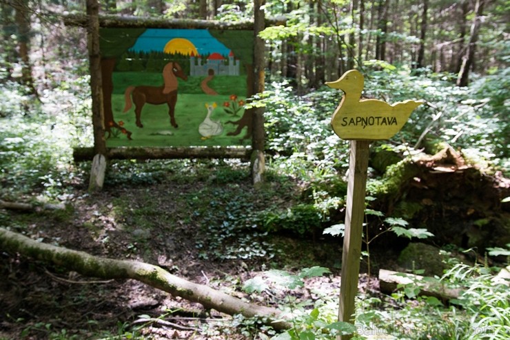 Minhauzena meža taka ir garākā apses koka taka Eiropā 182292