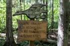 Minhauzena meža taka ir garākā apses koka taka Eiropā 14