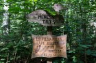 Minhauzena meža taka ir garākā apses koka taka Eiropā 22