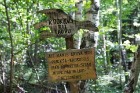 Minhauzena meža taka ir garākā apses koka taka Eiropā 44