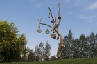 Beverīnas koka skulptūru parks aizrauj gan pieaugušos, gan bērnus 19