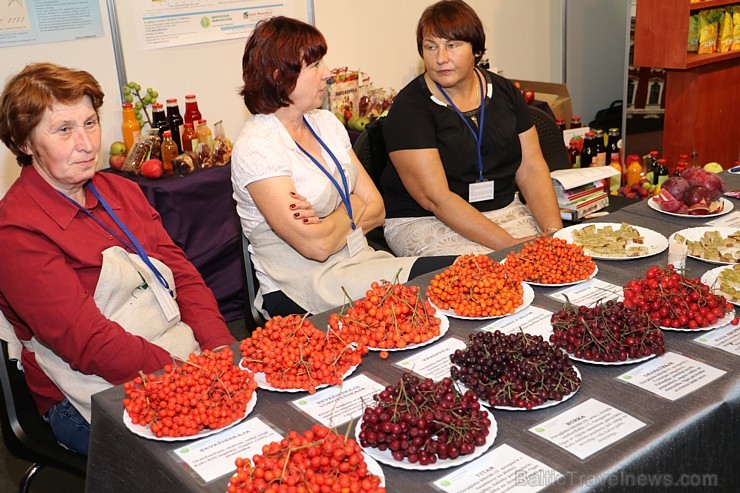 Ķīpsalā gardēži, pavāri un pārtikas ražotāji pulcējas izstādē «Riga Food 2016» 183380