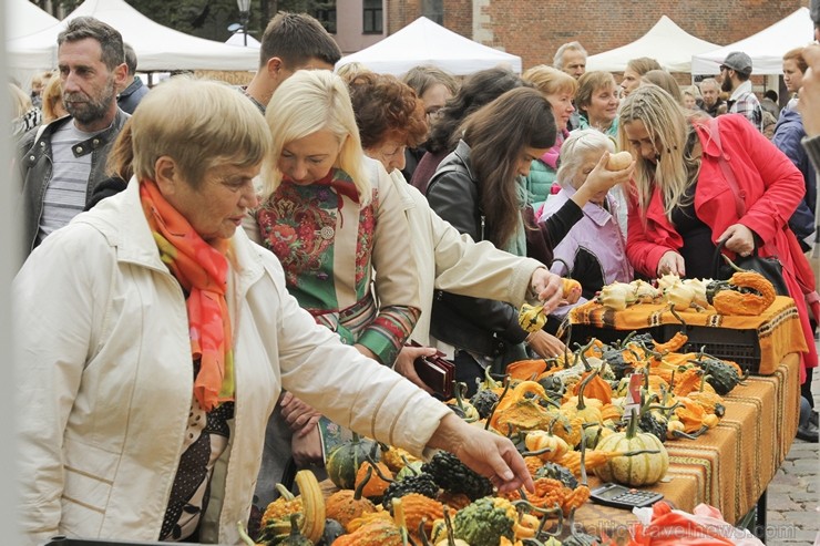 Rīgā ražas svētkus atzīmē ar Miķeļdienas gadatirgu