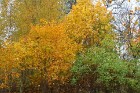 Travelnews.lv redakcija apciemo rudenīgo Latgali un iepazīst oktobra burvību 22