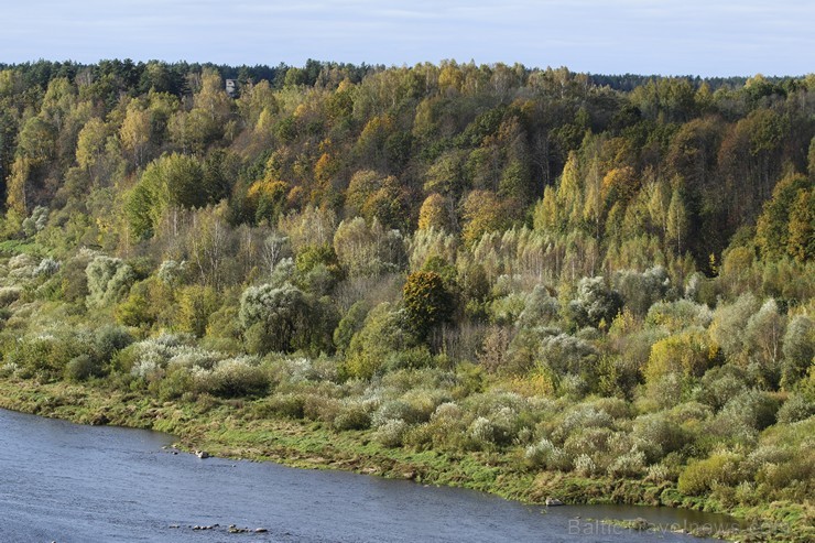 Priedaines skatu tornis Krāslavā ir brīnišķīga vieta zelta rudens baudīšanai 185671