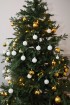 Pārdaugavas viesnīca «Radisson Blu Hotel Daugava» prezentē Ziemassvētkus un iepazīstina ar jauno direktoru 18