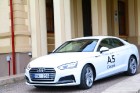 Travelnews.lv redakcija apceļo rudenīgo Vidzemi un Dikļu pils ar jauno Audi A5 Coupe 24