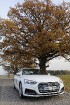 Travelnews.lv redakcija apceļo rudenīgo Vidzemi un Dikļu pils ar jauno Audi A5 Coupe 27