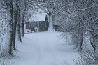 Latvijā atkal ir atgriezusies sniegota ziema 8