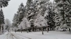 Ogres dabas parkos un upes promenādē aplūkojama lieliska ainava 2