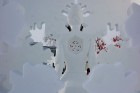 Jelgavas komandas “Sniega sirds” iegūst sudrabu sniega skulptūru čempionātā Harbinā 12