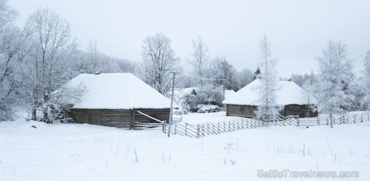 Foto: Sven Zacek 191709