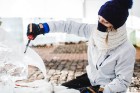Jelgavā jau tapušas pirmās 30 ledus skulptūras 2