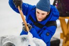 Jelgavā jau tapušas pirmās 30 ledus skulptūras 21