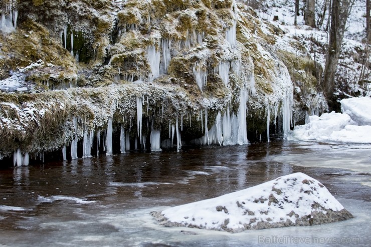 Latvijas mērogā unikāls saldūdens kaļķiežu veidojums Raunas upes senlejā, kurš veidojis pirms 10 tūkstošiem gadu vai agrāk, avota kaļķiem nogulsnējoti 192341
