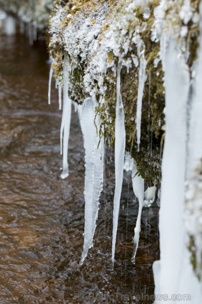 Raunas Staburags ir viens no skatāmākajiem dabas objektiem ziemā 192356