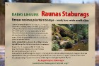 Raunas Staburags ir viens no skatāmākajiem dabas objektiem ziemā 25