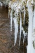 Raunas Staburags ir viens no skatāmākajiem dabas objektiem ziemā 19