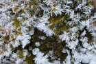 Raunas Staburags ir viens no skatāmākajiem dabas objektiem ziemā 20