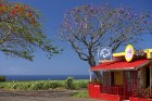 «Air Mauritius» piedāvā lieliskas brīvdienas un unikālus galamērķus 2017. gadā! 39