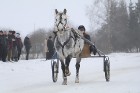 Dagdas hipodromā sacenšas ātrākie Latgales un Lietuvas zirgi 20
