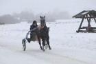 Dagdas hipodromā sacenšas ātrākie Latgales un Lietuvas zirgi 35