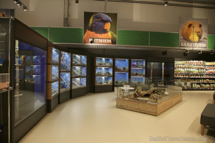«Dino Zoo Pasaule» atklāšanas svētku laikā aicina aplūkot lielāko akvāriju Latvijā