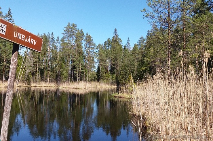 Travelnews.lv apceļo noslēpumainos Entu ezerus un Rīsas purva dabas taku Igaunijā