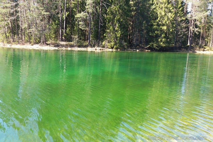 Travelnews.lv apceļo noslēpumainos Entu ezerus un Rīsas purva dabas taku Igaunijā