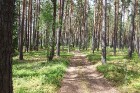 Travelnews.lv dodas ekspedīcijā pa Silenes dabas parku pie Baltkrievijas robežas 9