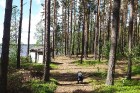 Travelnews.lv dodas ekspedīcijā pa Silenes dabas parku pie Baltkrievijas robežas 12