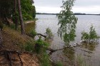 Travelnews.lv dodas ekspedīcijā pa Silenes dabas parku pie Baltkrievijas robežas 36