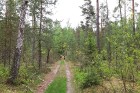 Travelnews.lv dodas ekspedīcijā pa Silenes dabas parku pie Baltkrievijas robežas 38