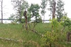 Travelnews.lv dodas ekspedīcijā pa Silenes dabas parku pie Baltkrievijas robežas 41