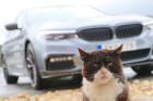 Travelnews.lv ņem aktīvu dalību BMW M pieredzes pasākumā Biķernieku trasē 1
