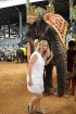 Kopā ar «365 brīvdienas» un «Turkish Airlines» apmeklējam Nong Nooch Village ar ziloņu šovu 26