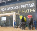 Kopā ar «365 brīvdienas» un «Turkish Airlines» apmeklējam Nong Nooch Village ar ziloņu šovu 40