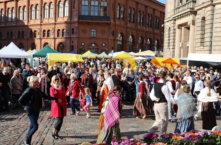 Miķeļtirgus Rīgas Doma laukumā pulcē rīdziniekus un pilsētas viesus 207663
