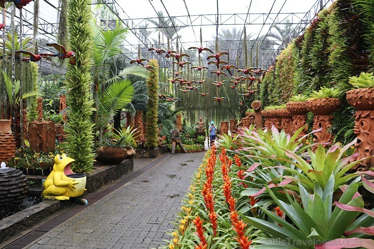 Travelnews.lv kopā ar «365 brīvdienas» un «Turkish Airlines» iepazīst tropu botānisko dārzu «Nong Nooch Tropical Garden» 208689
