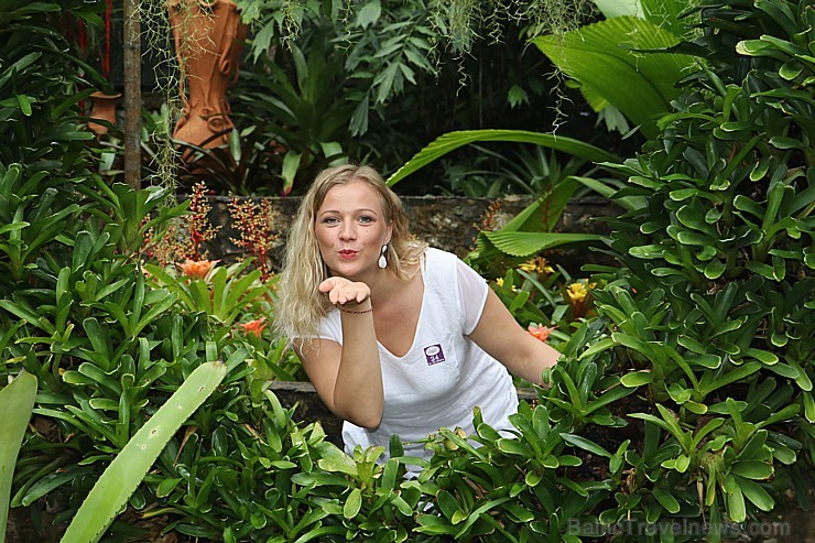 Travelnews.lv kopā ar «365 brīvdienas» un «Turkish Airlines» iepazīst tropu botānisko dārzu «Nong Nooch Tropical Garden» 208690
