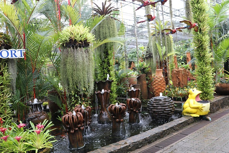 Travelnews.lv kopā ar «365 brīvdienas» un «Turkish Airlines» iepazīst tropu botānisko dārzu «Nong Nooch Tropical Garden» 208693