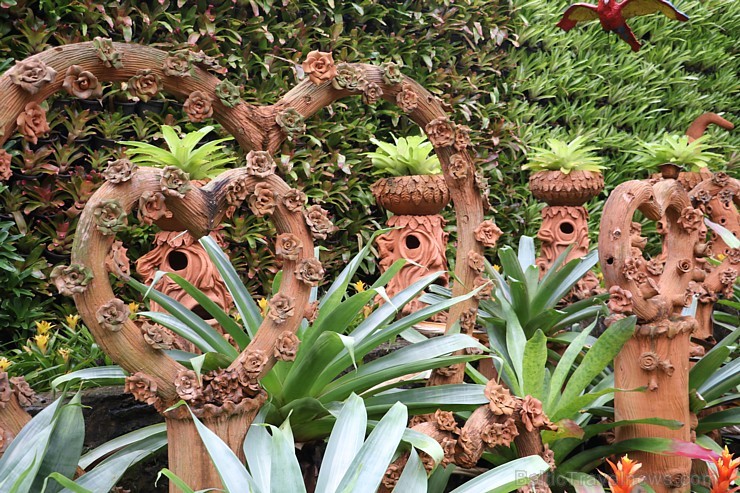 Travelnews.lv kopā ar «365 brīvdienas» un «Turkish Airlines» iepazīst tropu botānisko dārzu «Nong Nooch Tropical Garden» 208694