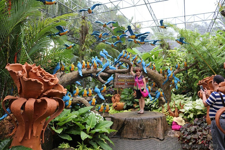 Travelnews.lv kopā ar «365 brīvdienas» un «Turkish Airlines» iepazīst tropu botānisko dārzu «Nong Nooch Tropical Garden» 208695