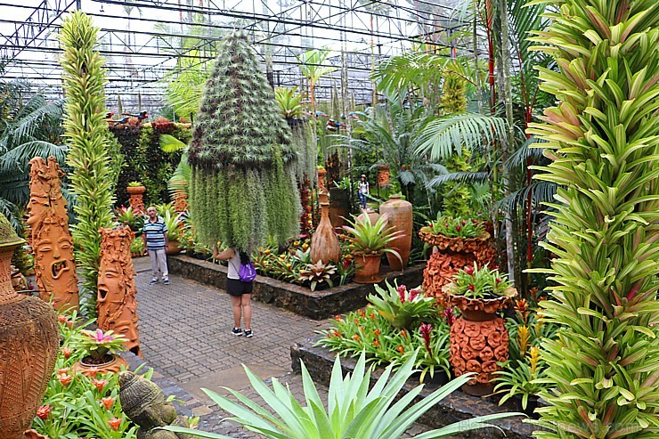 Travelnews.lv kopā ar «365 brīvdienas» un «Turkish Airlines» iepazīst tropu botānisko dārzu «Nong Nooch Tropical Garden» 208711
